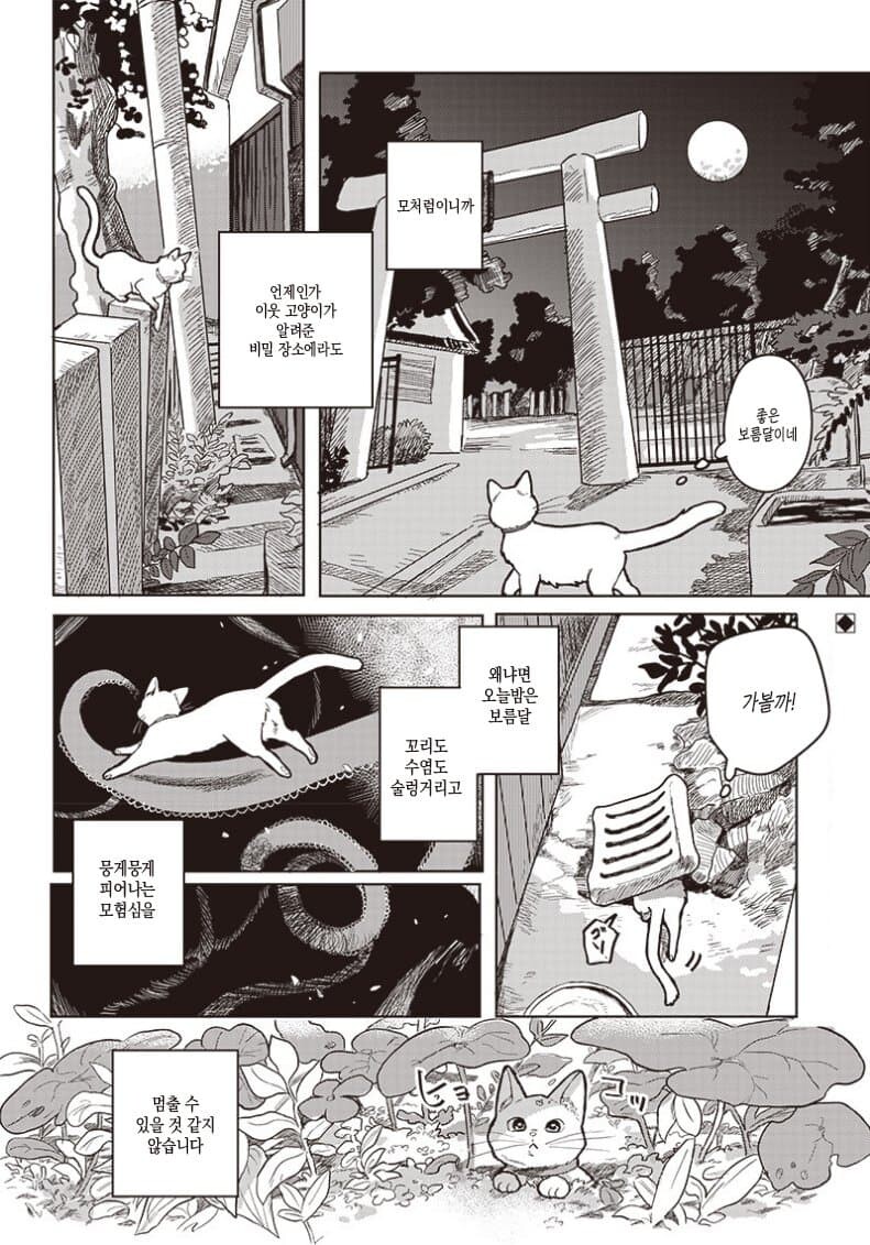 비밀장소에 차를 마시러 온 고양이 만화.manga_2.jpg