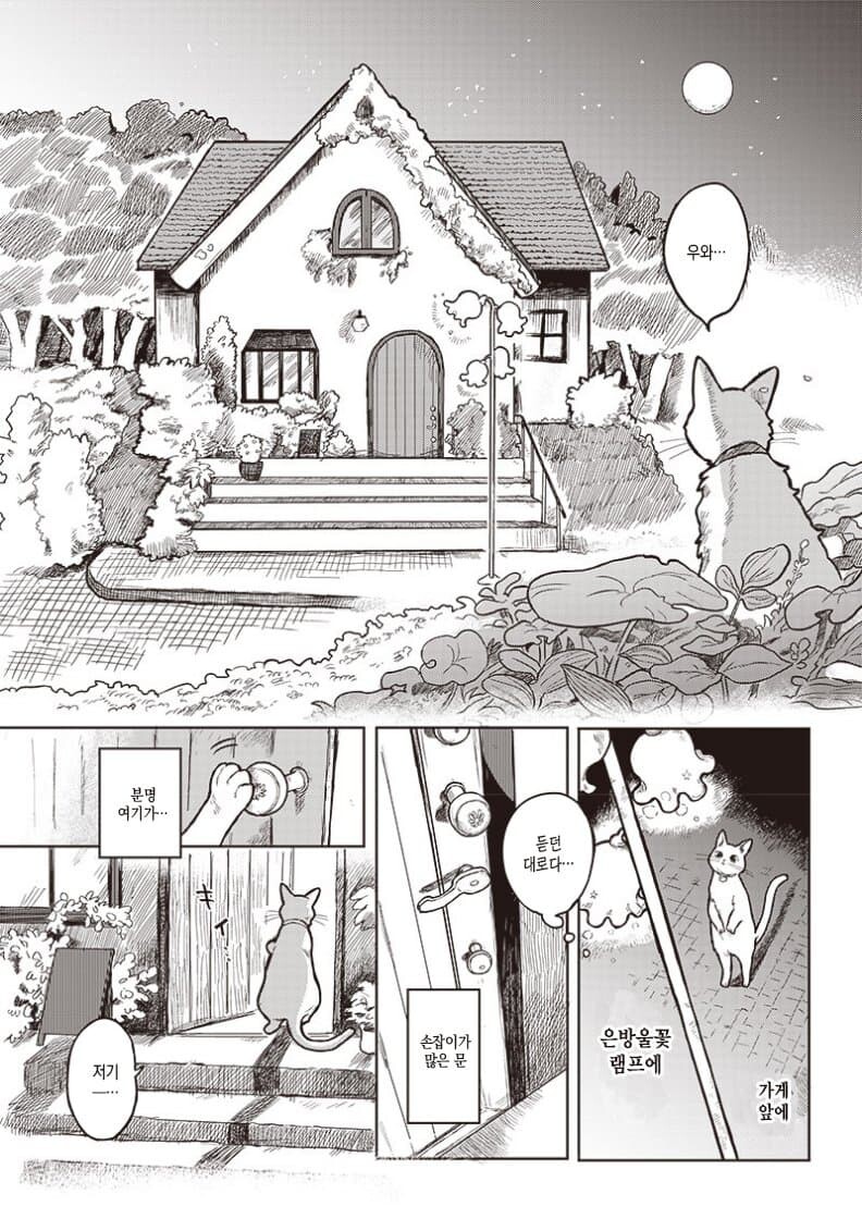 비밀장소에 차를 마시러 온 고양이 만화.manga_3.jpg