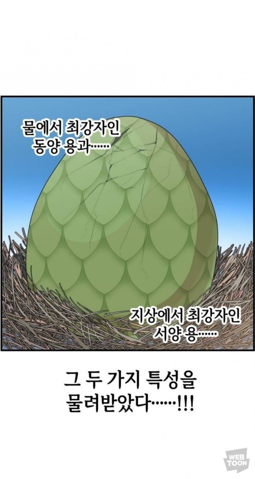 동양용과 서양용이 싸우는.manhwa_9.jpg