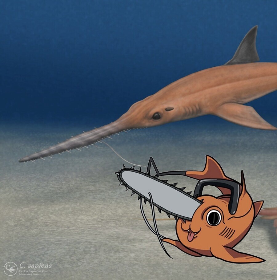 체인소맨)현실에서 소원을 이룬 캐릭터.jpg_3.jpg