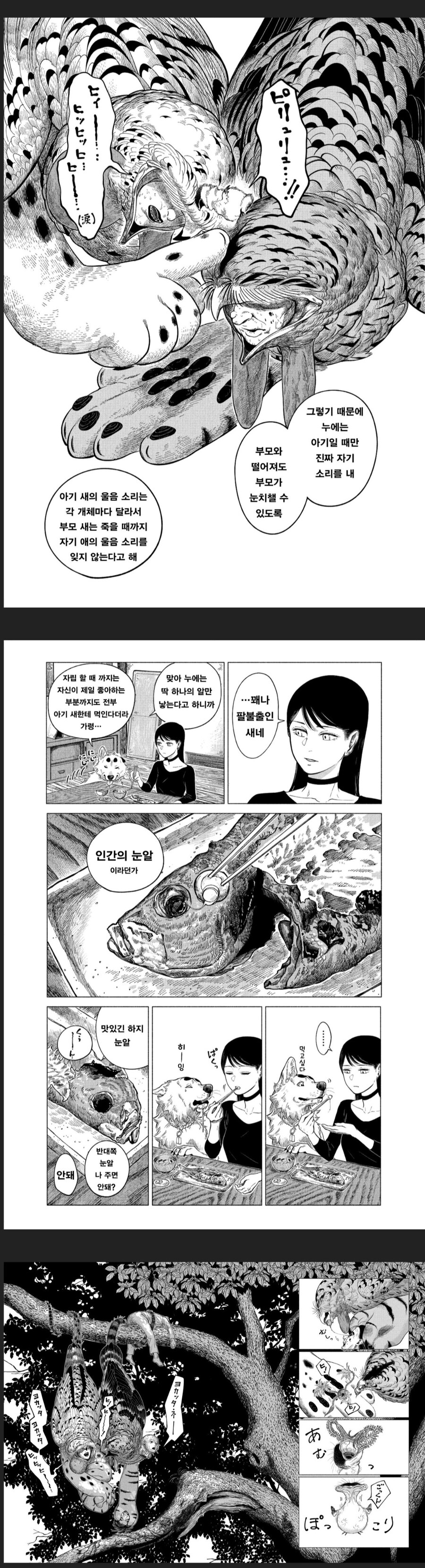 공포) 아기 새.manwha_4.jpg