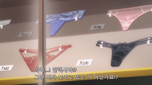 [어둠의실력자]섹시한 속옷을 고르다_15.jpg