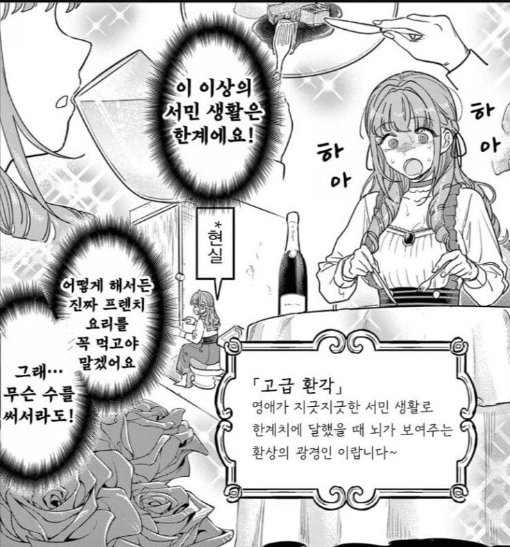 부자들에게만 보이는 환각_1.jpg