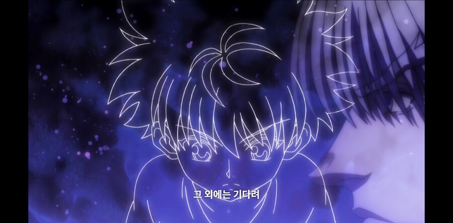 헌터X헌터) 의외로 이르미 독단적인 행동이 아니였을 행동_4.png