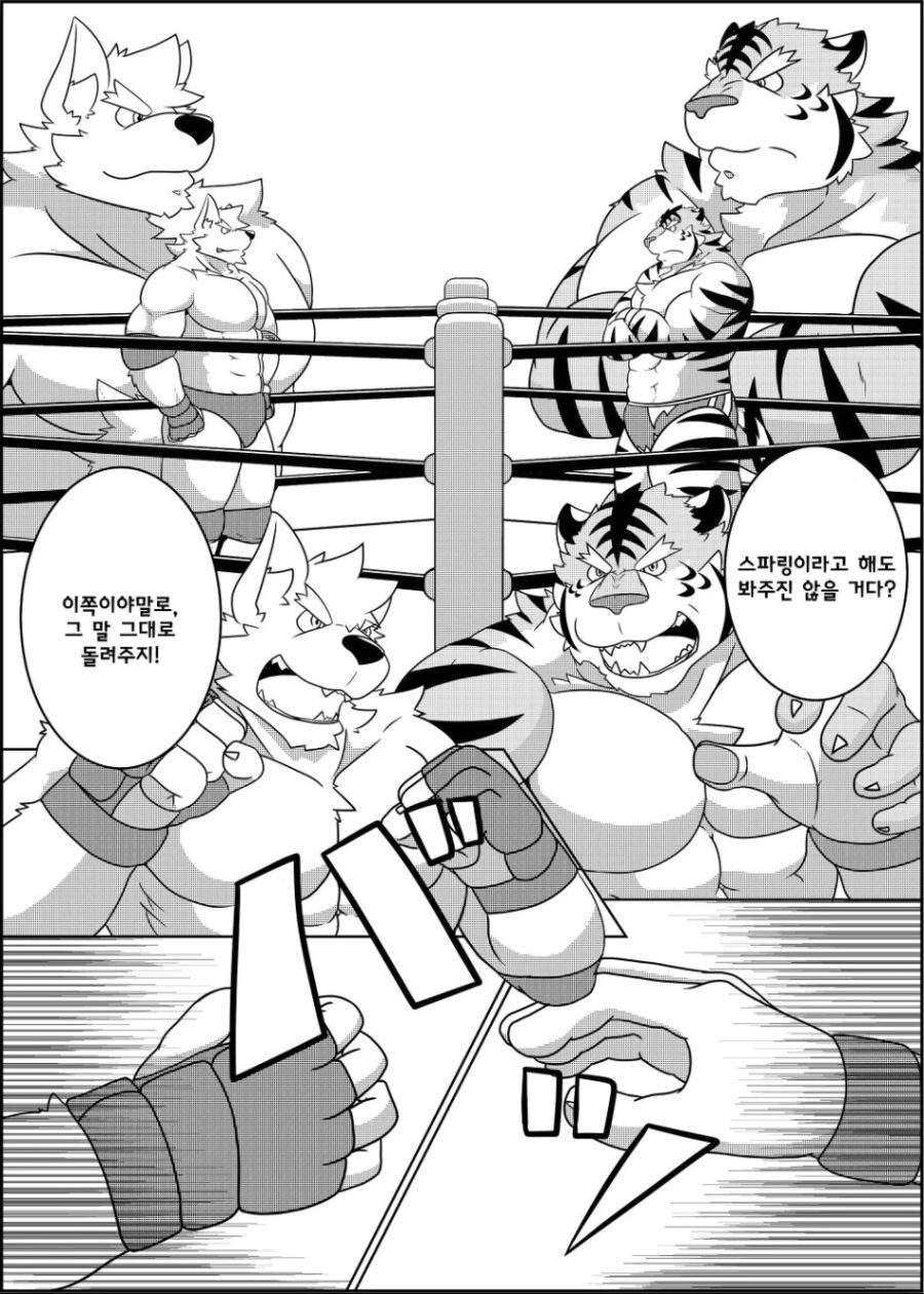 근육퍼리들이 레슬링 하는 manhwa_2.jpg
