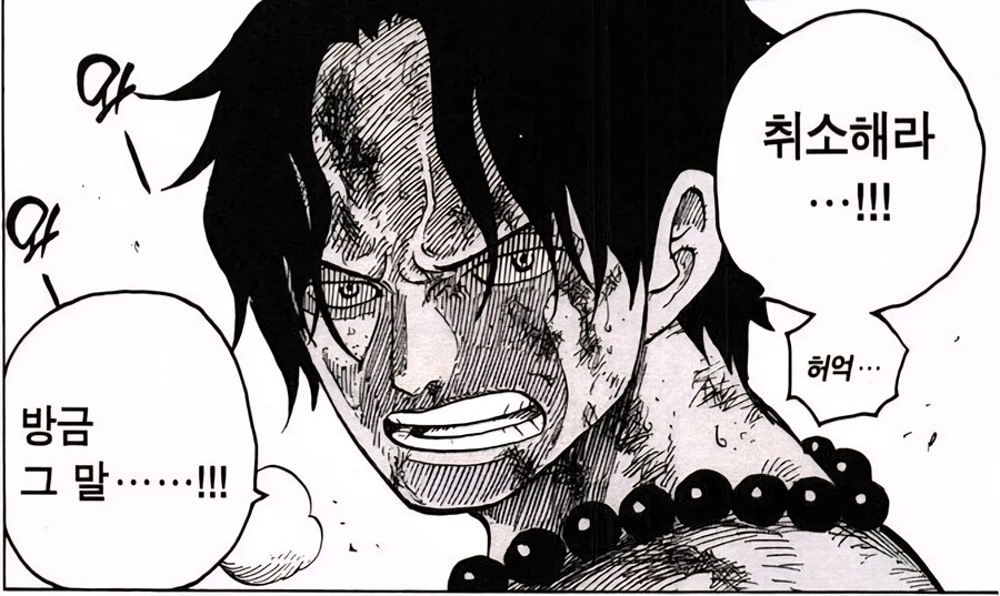 원피스)에이스가 죽은 이유_2.jpg