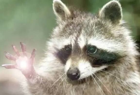 후방) 꼴려져라_2.jpg