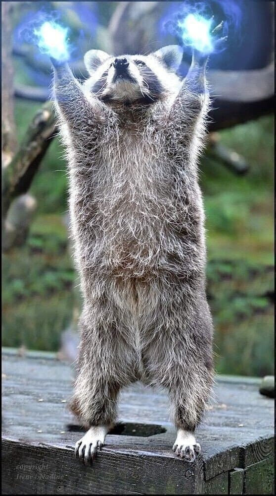 후방) 꼴려져라_4.jpg