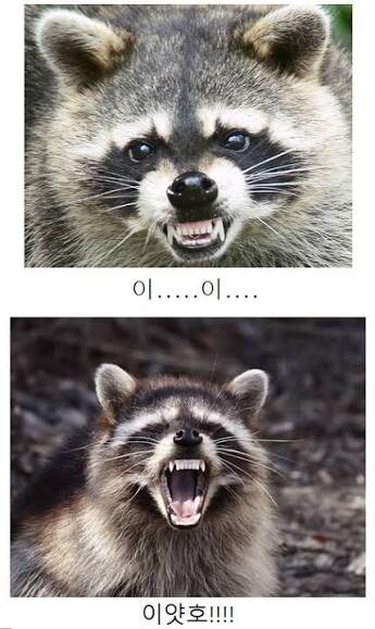 후방) 꼴려져라_6.jpg