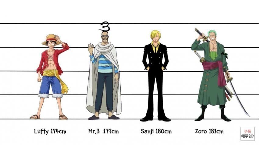 [원피스] 의외로 아직까지도 오피셜로 밝혀지지 않은 부분_1.jpg