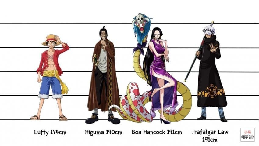 [원피스] 의외로 아직까지도 오피셜로 밝혀지지 않은 부분_2.jpg