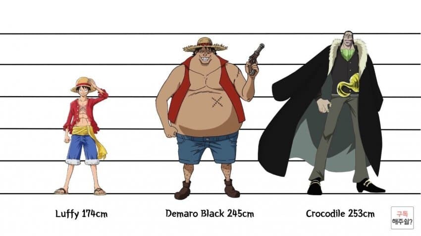 [원피스] 의외로 아직까지도 오피셜로 밝혀지지 않은 부분_3.jpg