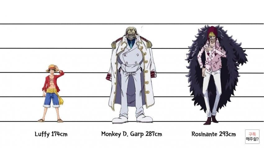 [원피스] 의외로 아직까지도 오피셜로 밝혀지지 않은 부분_4.jpg