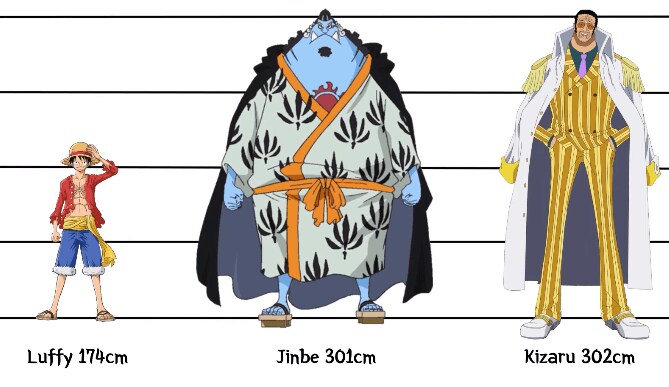 [원피스] 의외로 아직까지도 오피셜로 밝혀지지 않은 부분_5.png