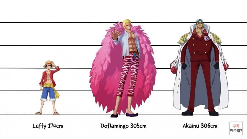 [원피스] 의외로 아직까지도 오피셜로 밝혀지지 않은 부분_6.jpg