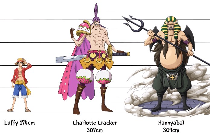 [원피스] 의외로 아직까지도 오피셜로 밝혀지지 않은 부분_7.png