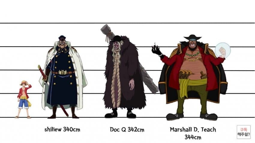 [원피스] 의외로 아직까지도 오피셜로 밝혀지지 않은 부분_9.jpg