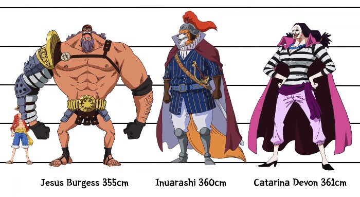 [원피스] 의외로 아직까지도 오피셜로 밝혀지지 않은 부분_10.png