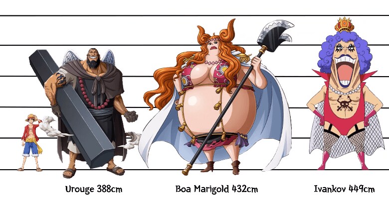 [원피스] 의외로 아직까지도 오피셜로 밝혀지지 않은 부분_11.png