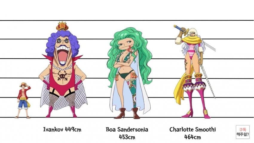 [원피스] 의외로 아직까지도 오피셜로 밝혀지지 않은 부분_12.jpg