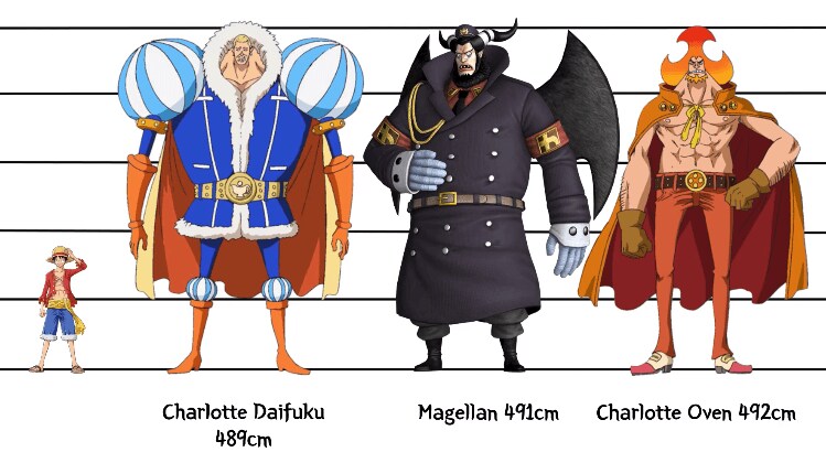 [원피스] 의외로 아직까지도 오피셜로 밝혀지지 않은 부분_13.png