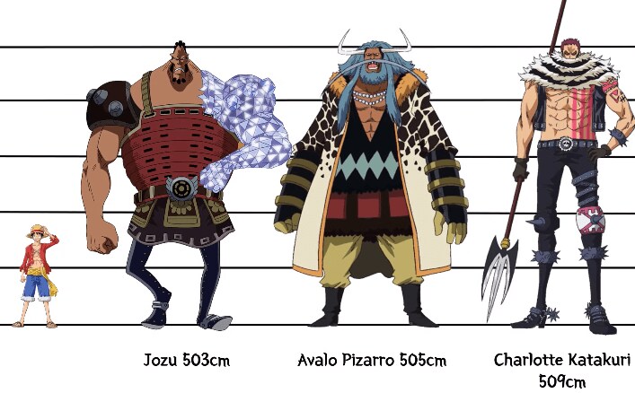 [원피스] 의외로 아직까지도 오피셜로 밝혀지지 않은 부분_14.png