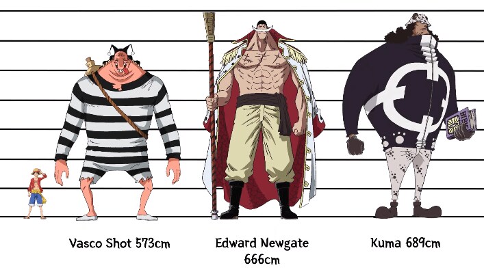 [원피스] 의외로 아직까지도 오피셜로 밝혀지지 않은 부분_15.png