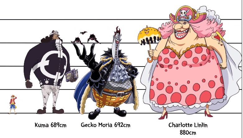 [원피스] 의외로 아직까지도 오피셜로 밝혀지지 않은 부분_16.png