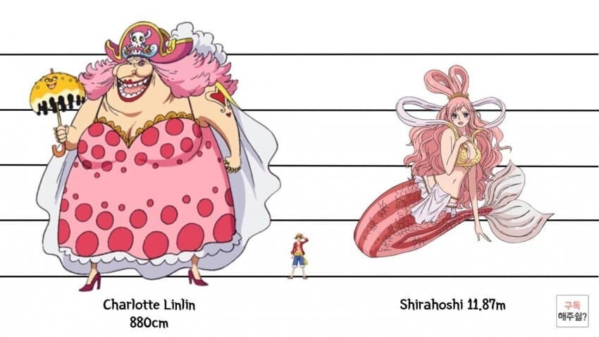 [원피스] 의외로 아직까지도 오피셜로 밝혀지지 않은 부분_17.jpg