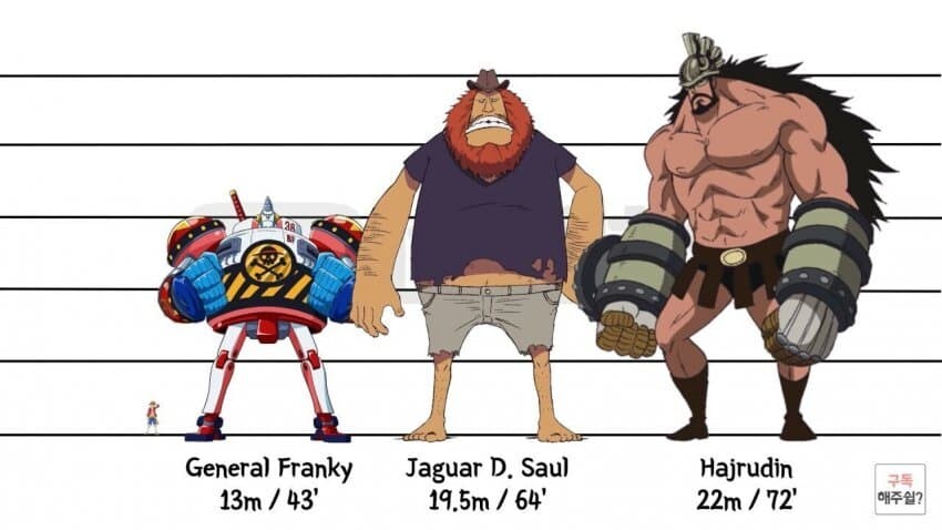 [원피스] 의외로 아직까지도 오피셜로 밝혀지지 않은 부분_18.jpg