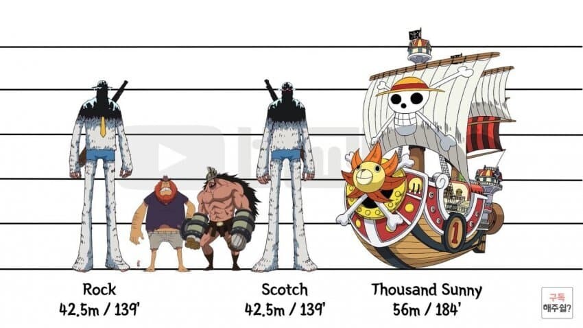 [원피스] 의외로 아직까지도 오피셜로 밝혀지지 않은 부분_21.jpg