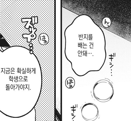 이상적인 청춘을 동경하는 순애 부부.manhwa_12.jpg