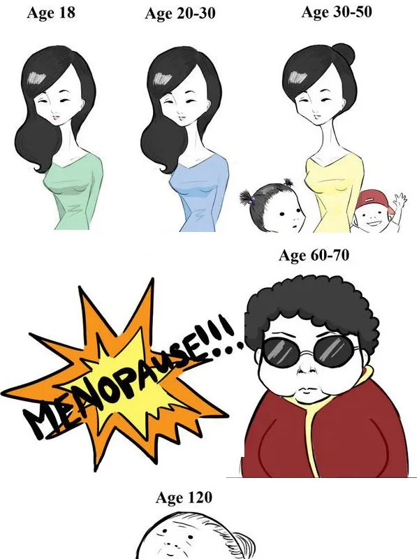 나름 현실 고증인 만화 원피스_2.webp