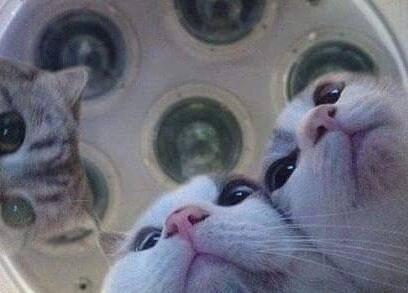 우주인을 만난 여자애가 정체불명의 어플을 받고 왔다.manga_5.jpg