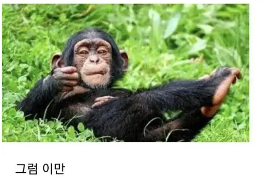 데이트 나가는 여자가 바람맞는 만화_8.webp