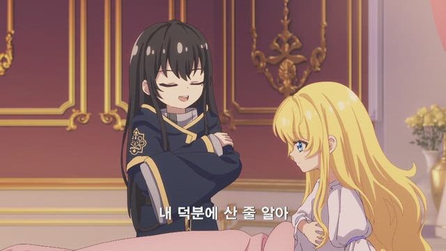 어느 날 공주가 되버렸다 중국 애니였구나_1.jpg