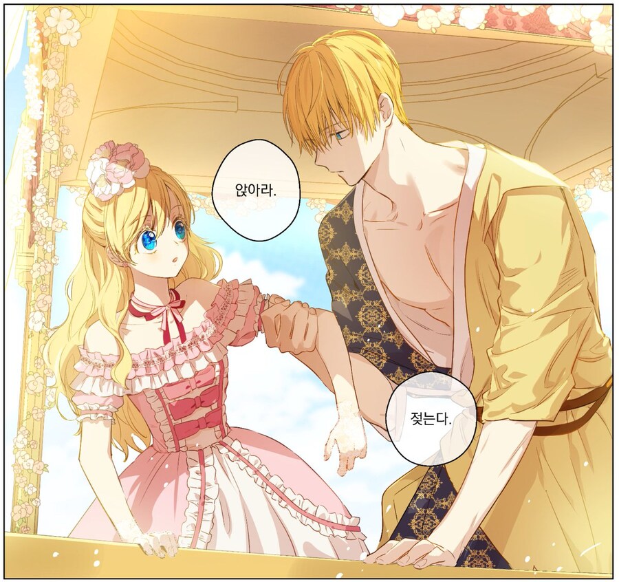 어느 날 공주가 되버렸다 중국 애니였구나_2.jpg