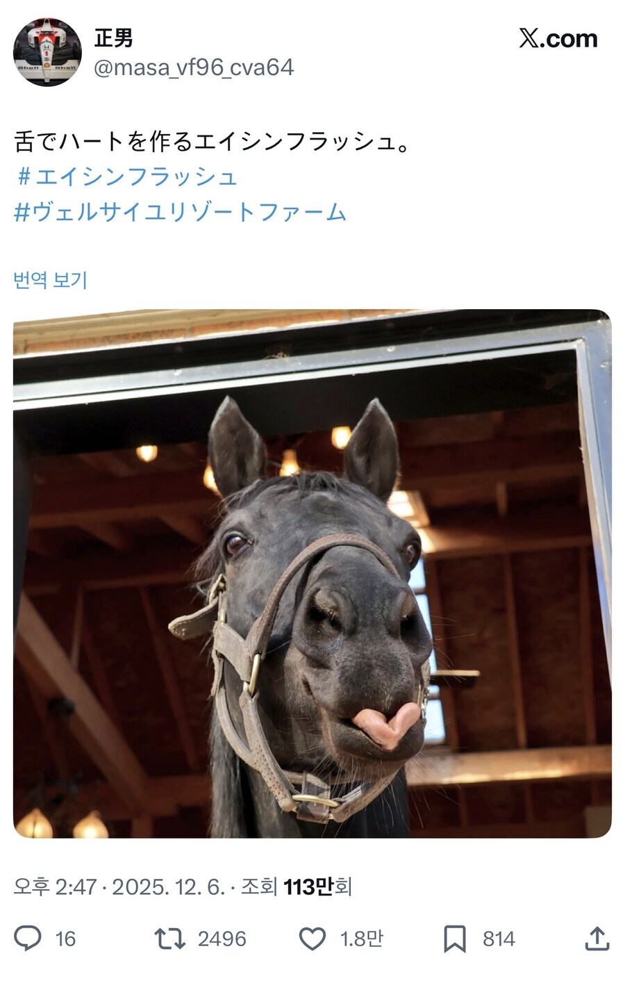 말딸)혀 놀림에 자신있는 에이신 플래시.manga_2.jpg