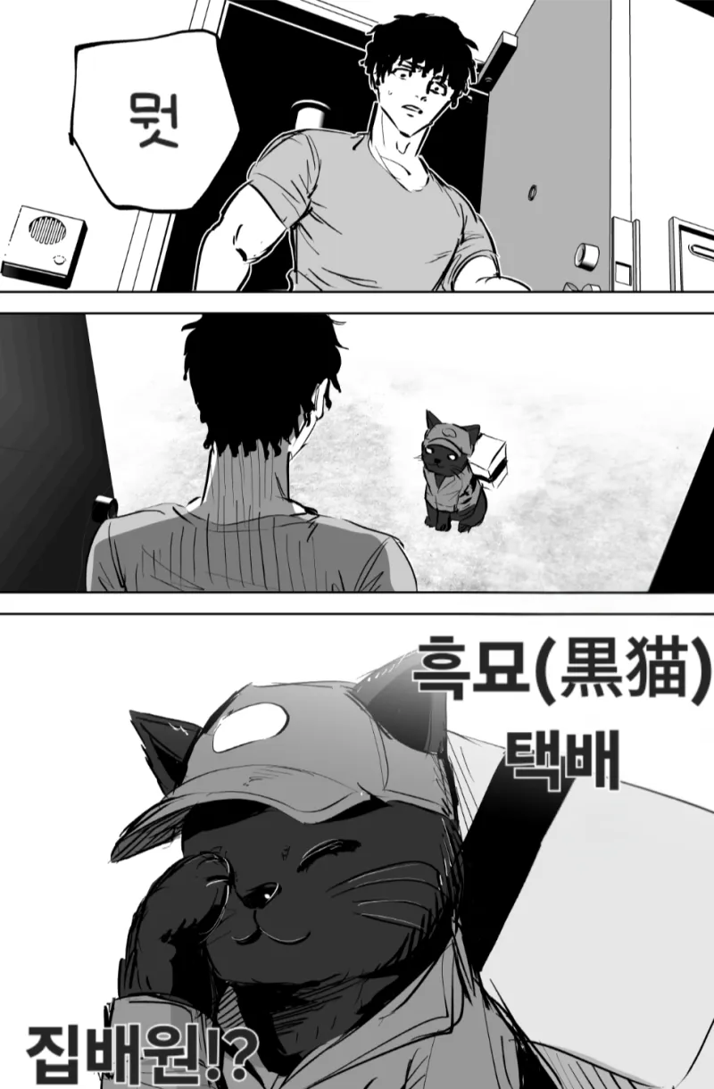 택배 배달하는 고양이 .mamhwa_5.webp