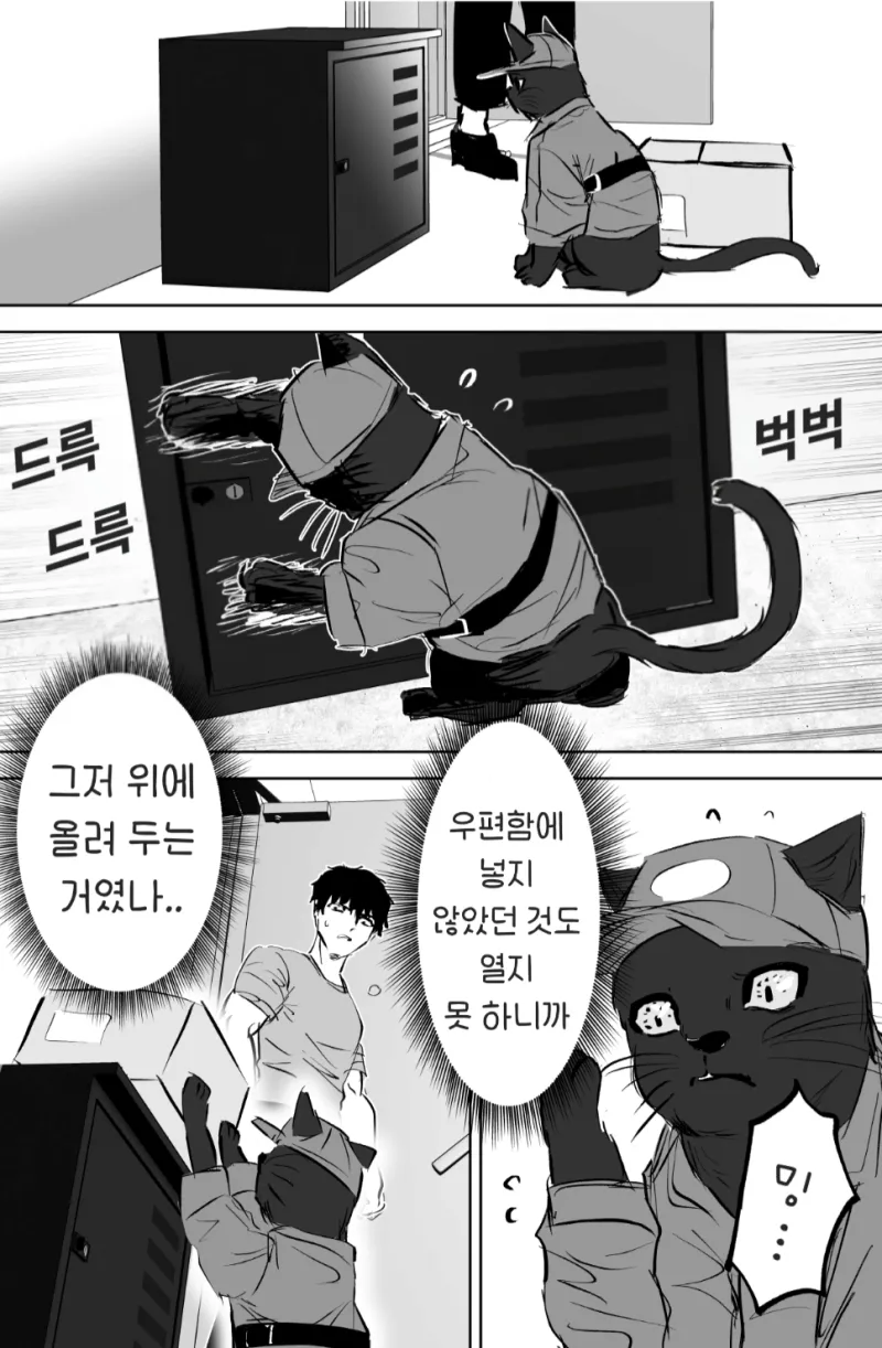 택배 배달하는 고양이 .mamhwa_7.webp