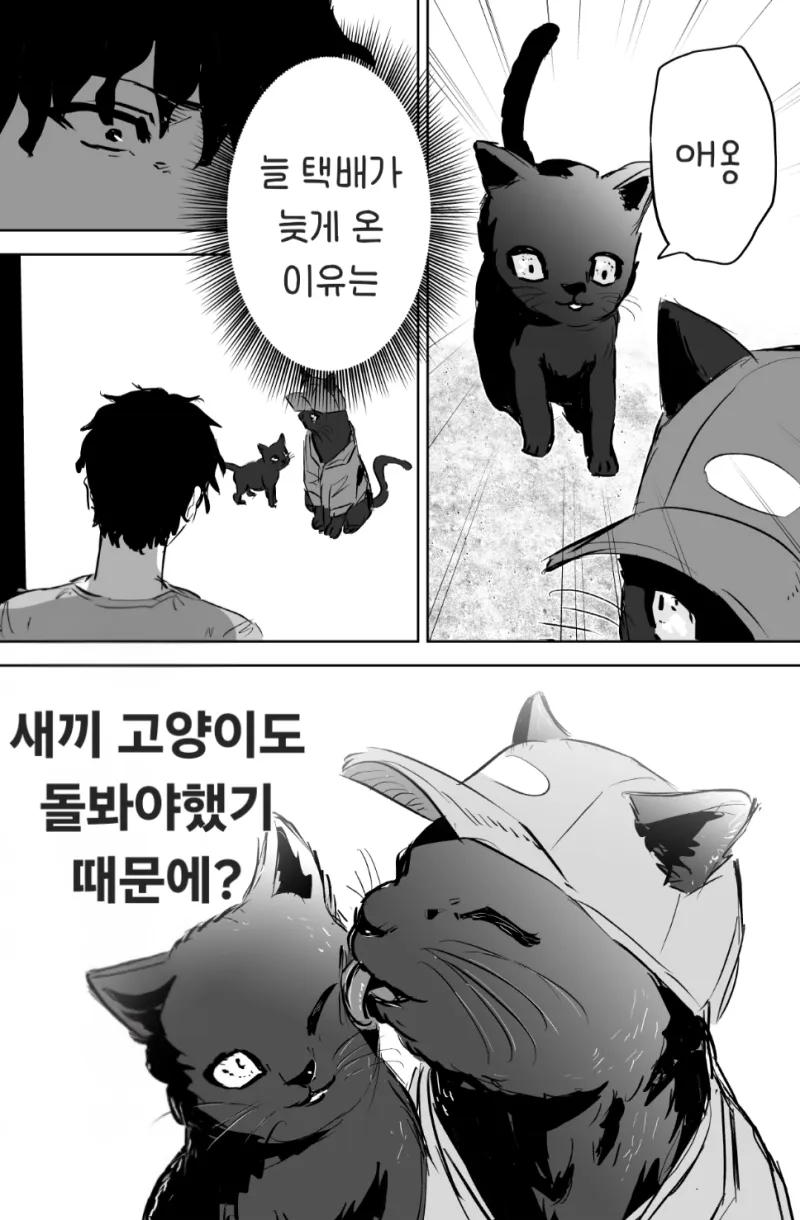 택배 배달하는 고양이 .mamhwa_8.webp