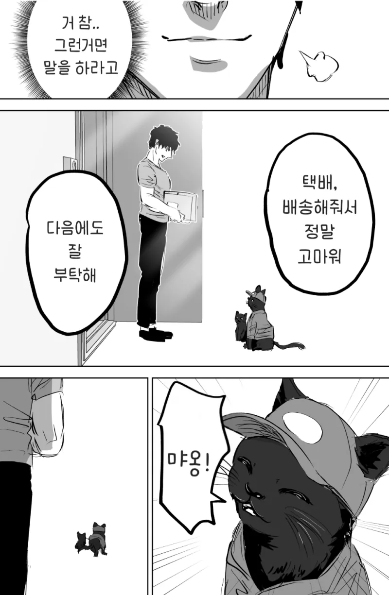 택배 배달하는 고양이 .mamhwa_9.webp