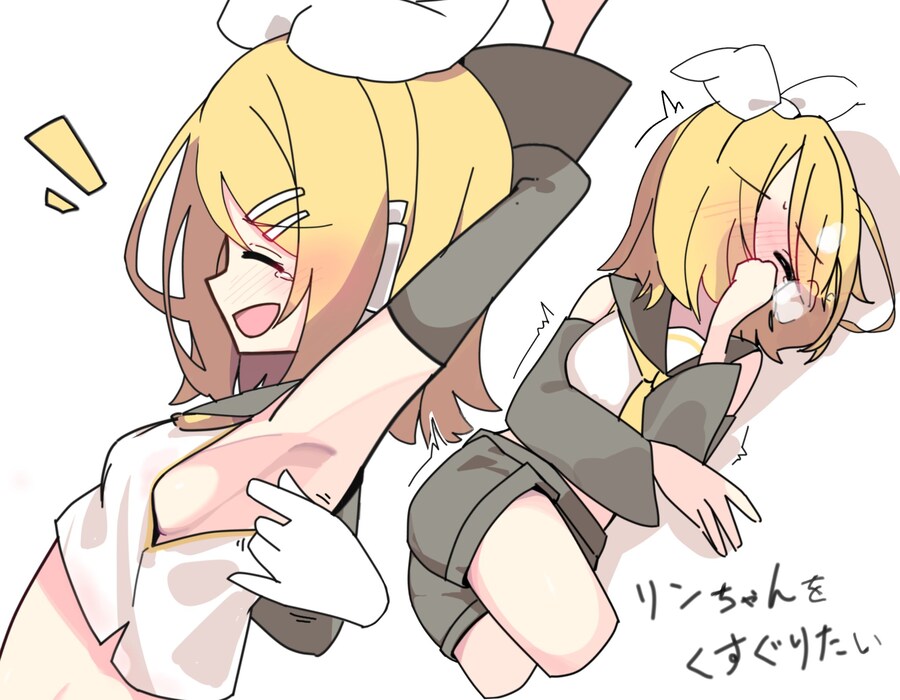 보컬로이드)호불호 갈리는 취향.jpg_1.jpg