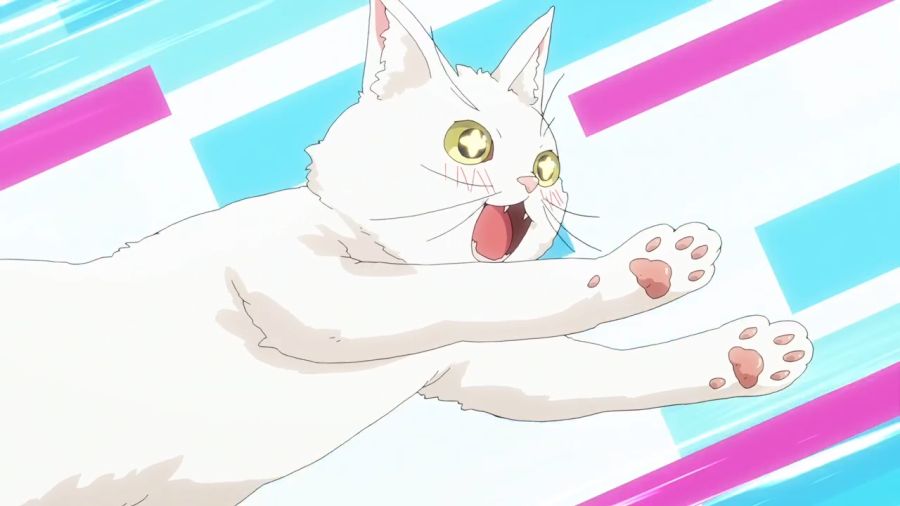 [100명의그녀]현란한 손놀림이 있는 고양이_2.png