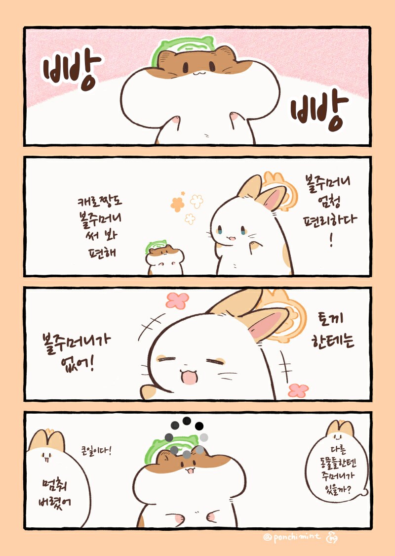 번역)햄스터의 천국면접, 볼주머니를 찾아라!.manhwa_1.png