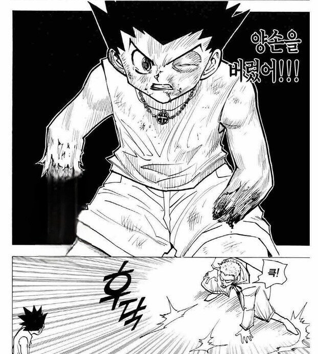 헌터x헌터) 교로 가드했던 게 미숙했던 곤_2.jpg