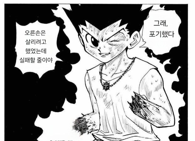 헌터x헌터) 교로 가드했던 게 미숙했던 곤_4.jpg