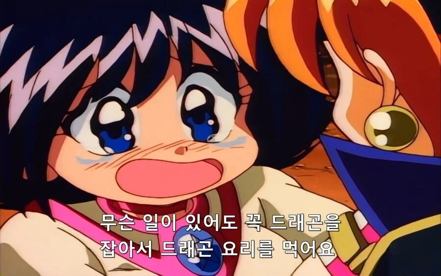 기적같은 만남을 한 아저씨.슬레이어즈_8.webp