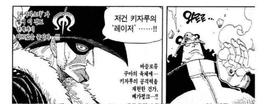 원피스)UFC인 줄 알았는데 WWE_2.jpg