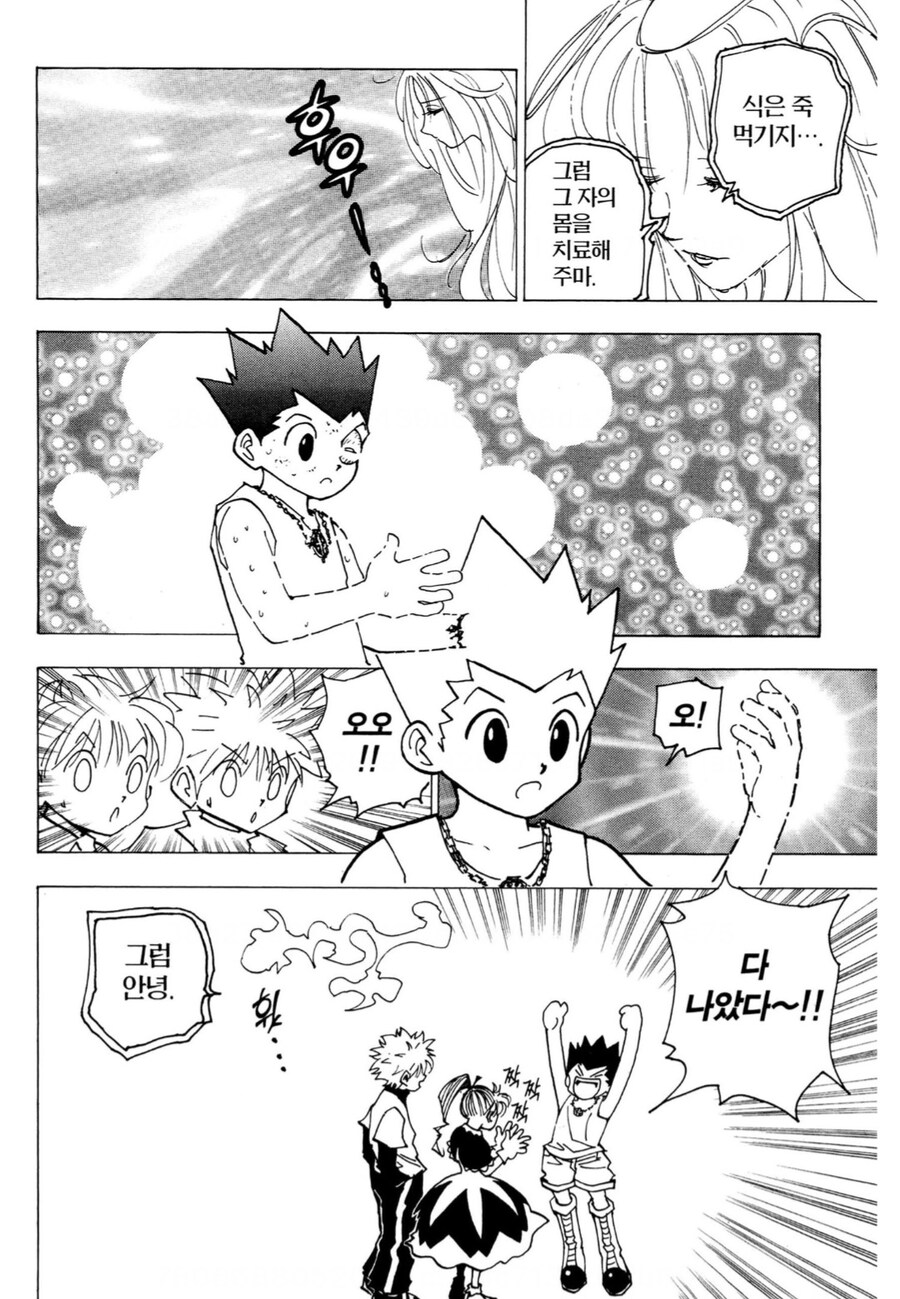 헌터x헌터) 역지사지 체험하는 겐스루_4.jpg